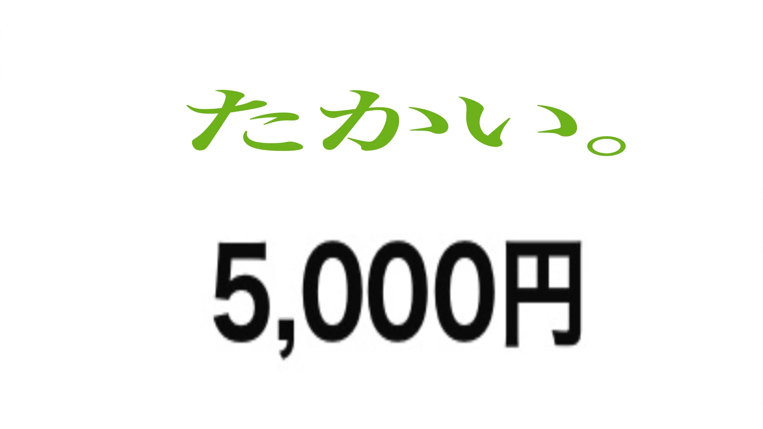 5000円は高い