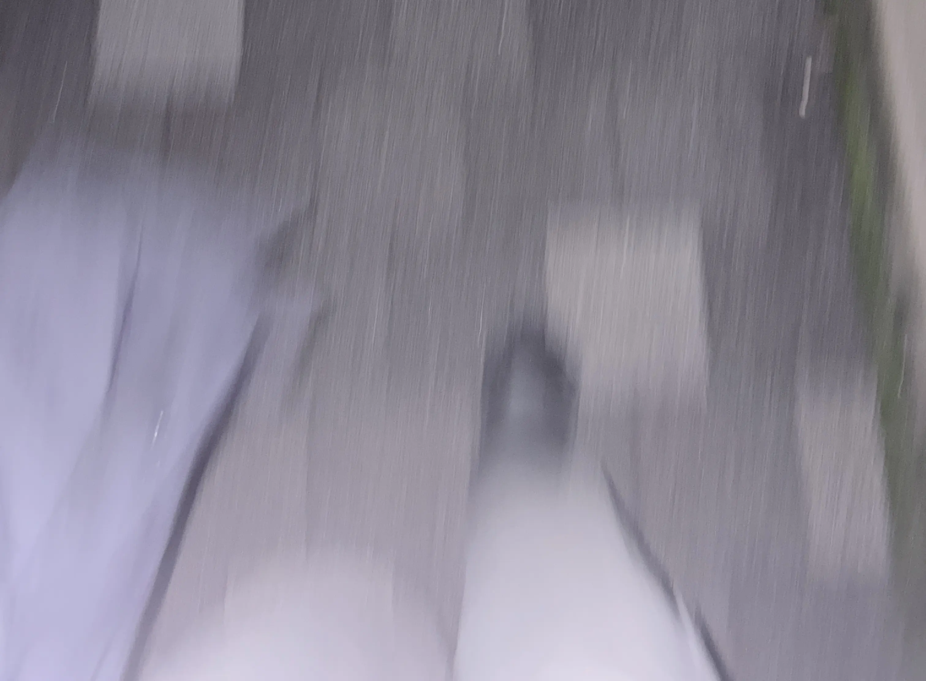 びしょ濡れTokyo